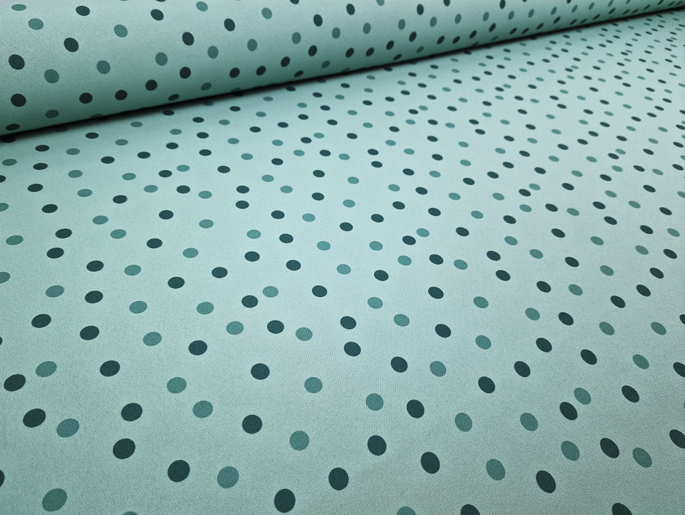 Strech Zenon bicolor