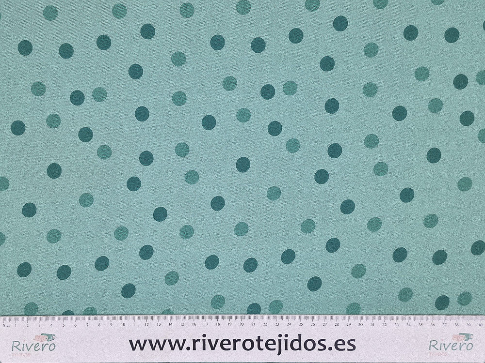 Strech Zenon bicolor