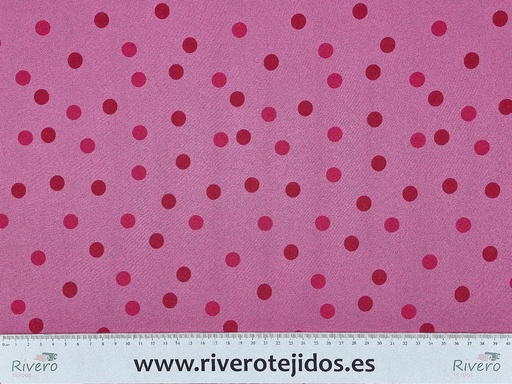 Strech Zenon bicolor