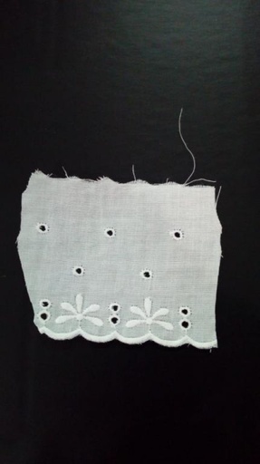 [2989110650009] Tira bordada blanca 11065