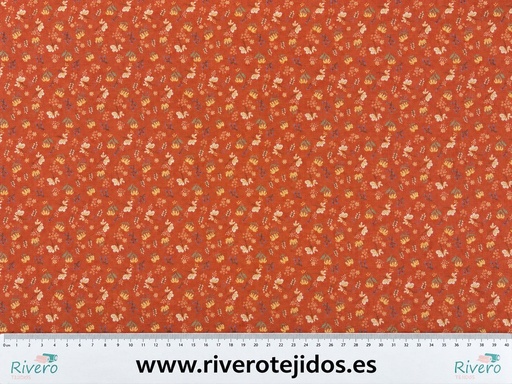 Algodón aspecto lino Euphoria coral